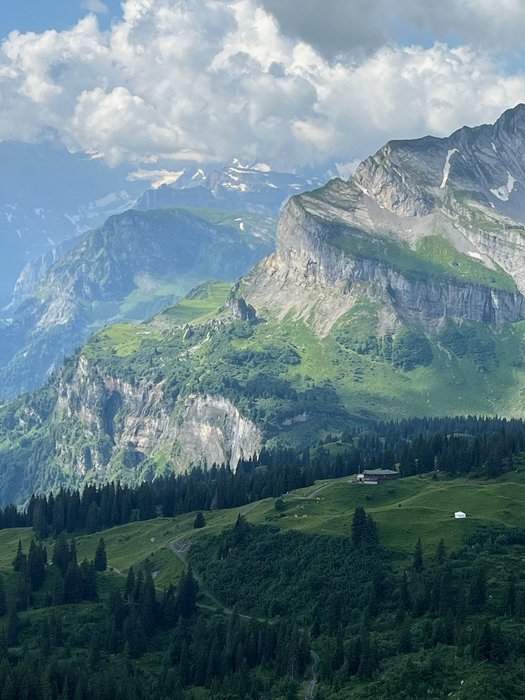 Braunwald