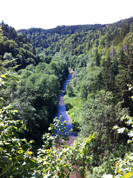 Schluchtensteig